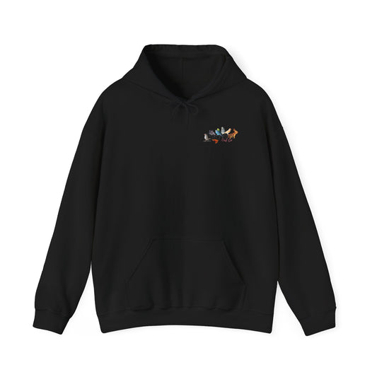 'I Like Zebras' Graphic Hoodie