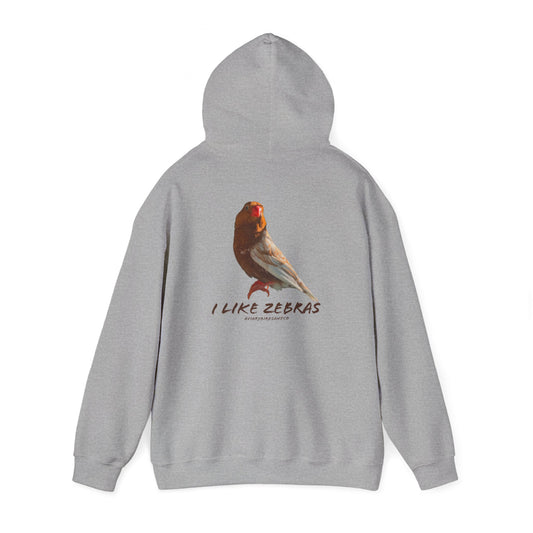 'I Like Zebras' Graphic Hoodie