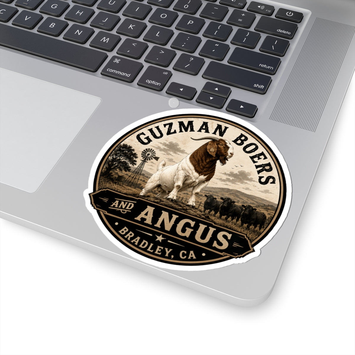 Guzman Boers & Angus Pride Rock
