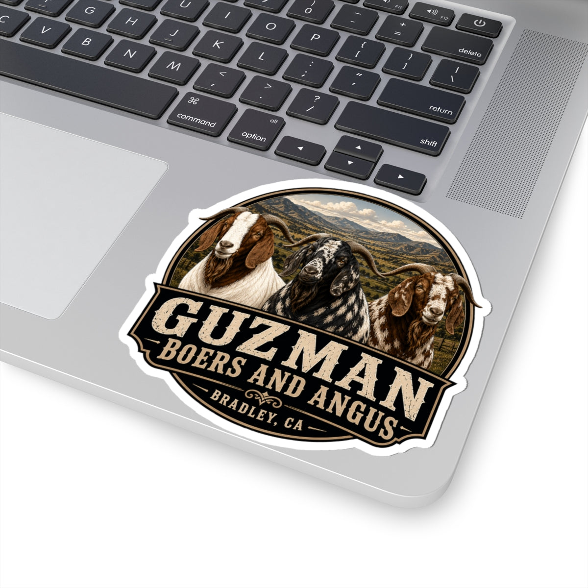 Tri Colored Bucks Sticker