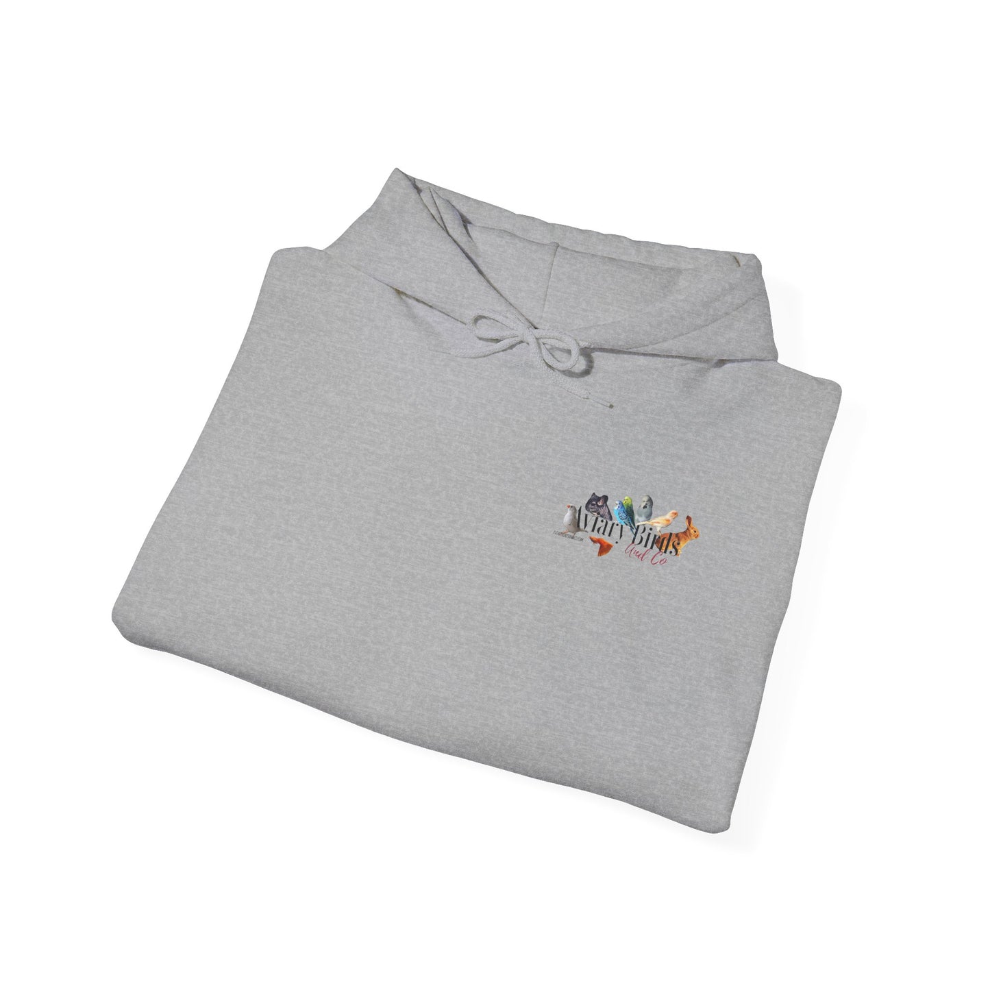 'I Like Zebras' Graphic Hoodie