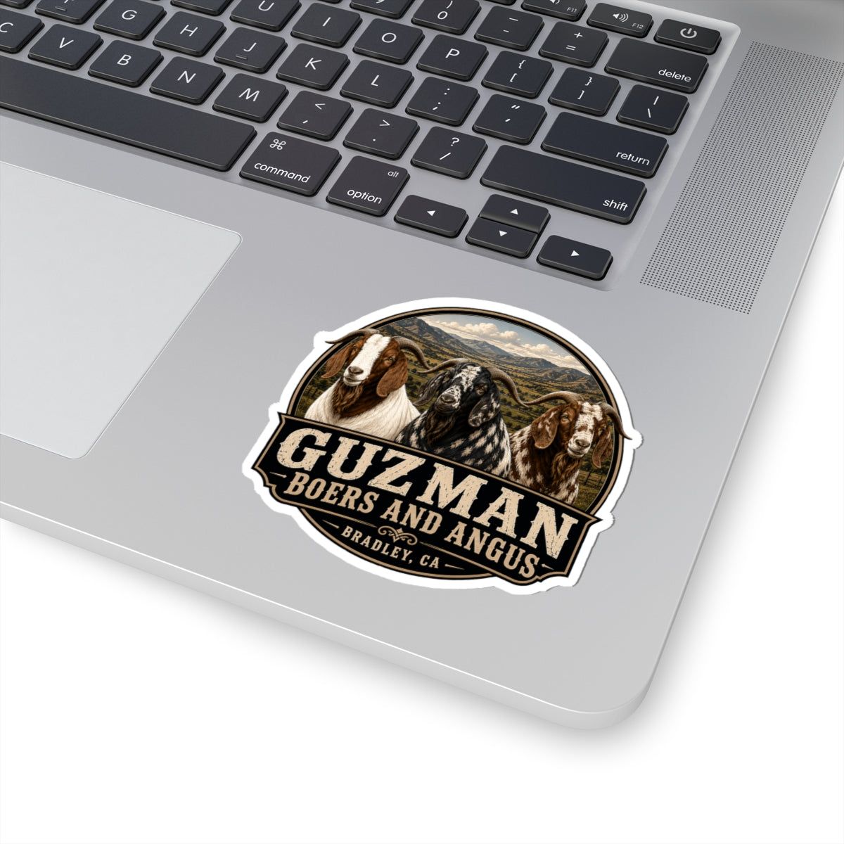 Tri Colored Bucks Sticker